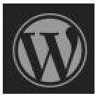 Een website met WordPress