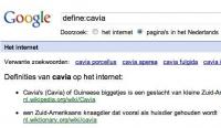 Het resultaat van de zoekopdracht: "define:cavia" (klik voor een vergroting).